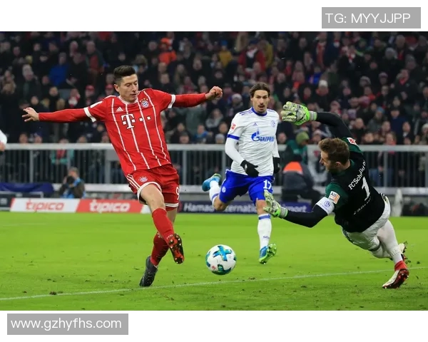 沙尔克04主场不败，德甲积分持续上涨：梦想成为现实