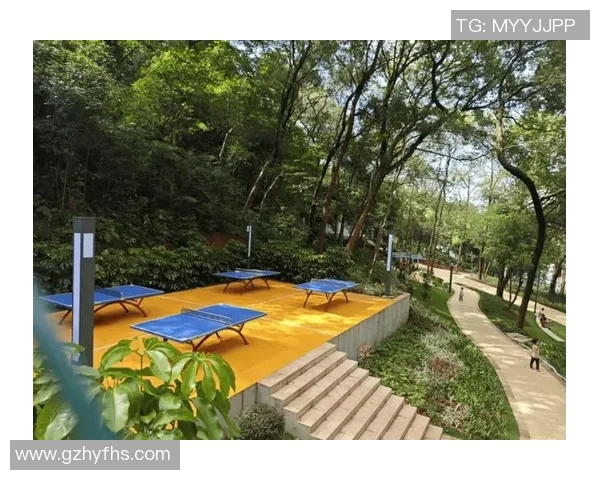 韶关：健身器材乐园