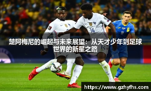 3377体育首页